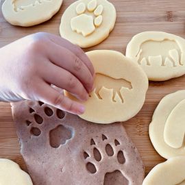 Exploration Stones - Safari Footprints