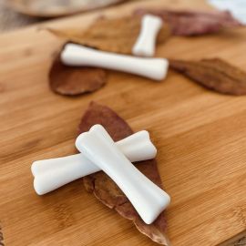 Exploration Stones - Dino Bones