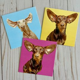 Dog Photography Card - Ears Bundle