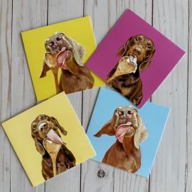Dog Photography Card - Licks Bundle